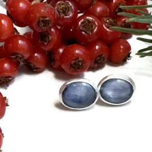 Blue Kyanite Post Earrings