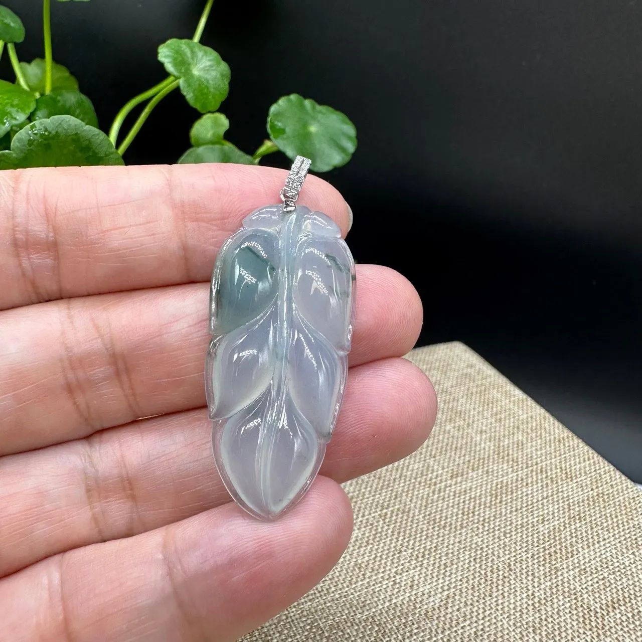 High end Genuine Ice Jadeite Jade Jin Zhi Yu Ye (Leaf) Necklace With White Gold SI Diamond Bail