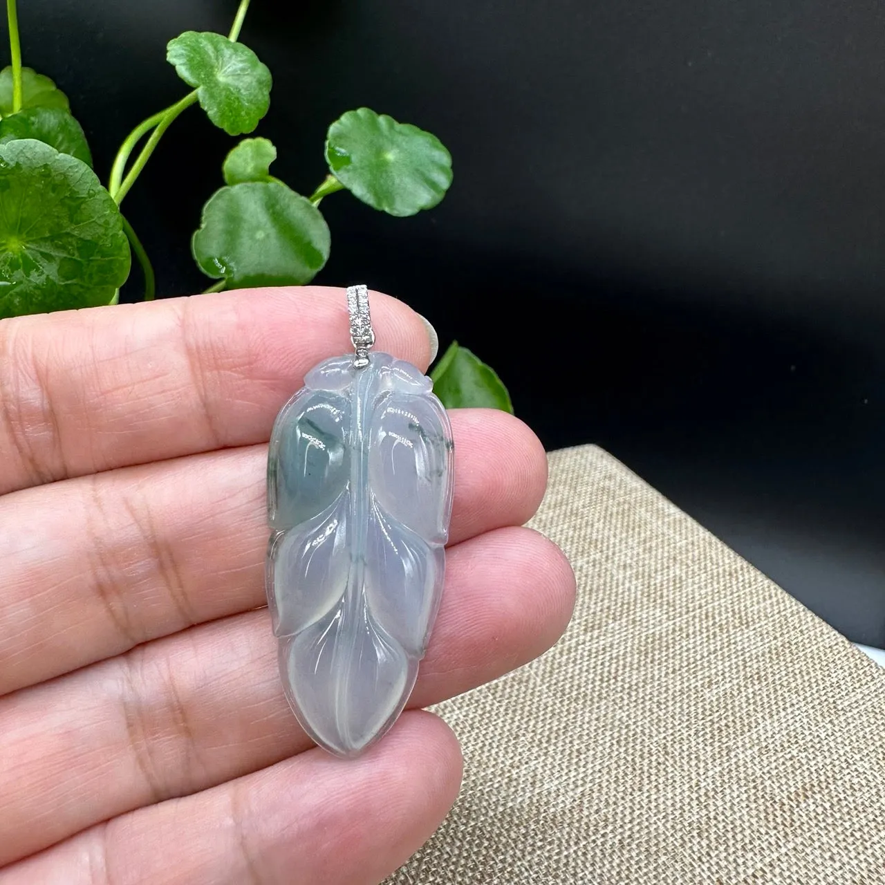 High end Genuine Ice Jadeite Jade Jin Zhi Yu Ye (Leaf) Necklace With White Gold SI Diamond Bail